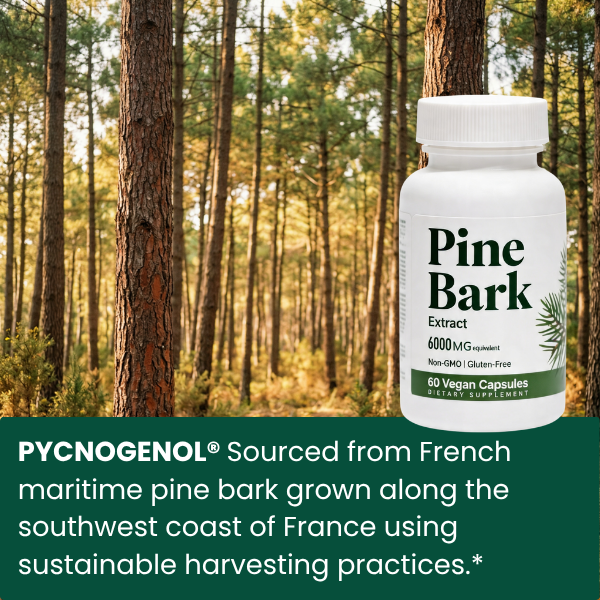 Pine Bark Extract